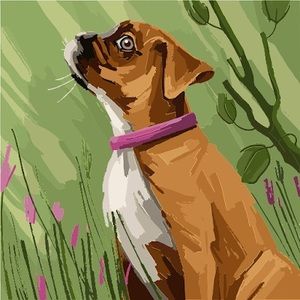 Meet your Posher, Macy